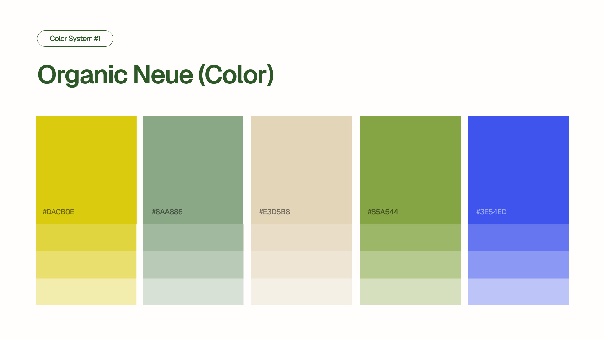 Color System #1 - Organic Neue